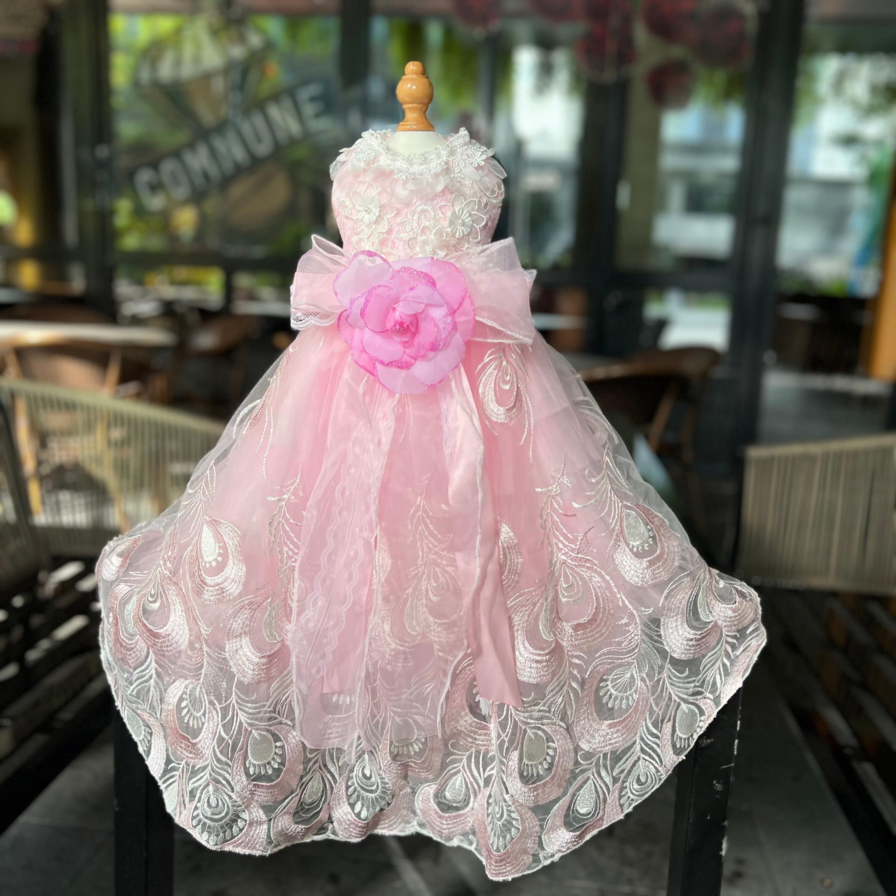 Photography Lighting For Clothing - Pet Dog Clothes Photography Dress Fashion