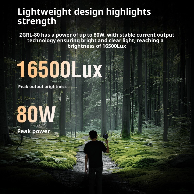 ZGRL80 80W COB LED Video Light - Photography Lighting System avis et prix