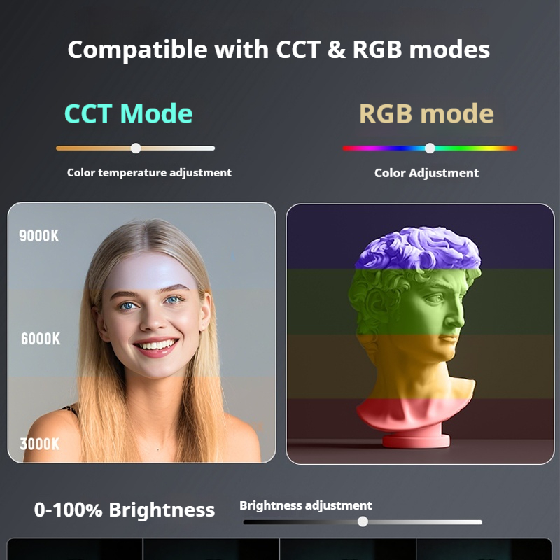 New NEEWER RGB126 Fill Light 3 - Photography Lighting System avis et prix